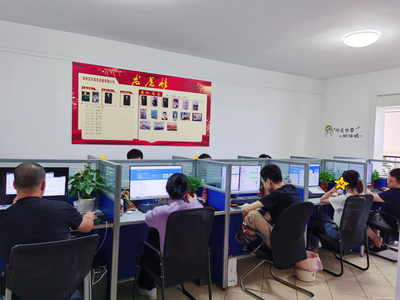 湖南道夫信息咨詢(xún) 專(zhuān)業(yè)引領(lǐng)，智贏未來(lái)